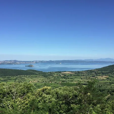 Mansion In With Swimming Pool *