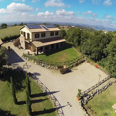Mansion In With Swimming Pool